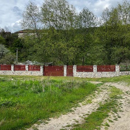La Gradina Hotel Mehadia Bagian luar foto