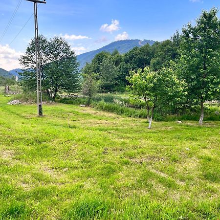 La Gradina Hotel Mehadia Bagian luar foto