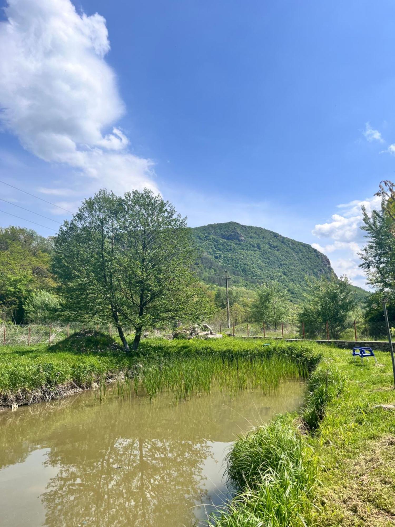 La Gradina Hotel Mehadia Bagian luar foto