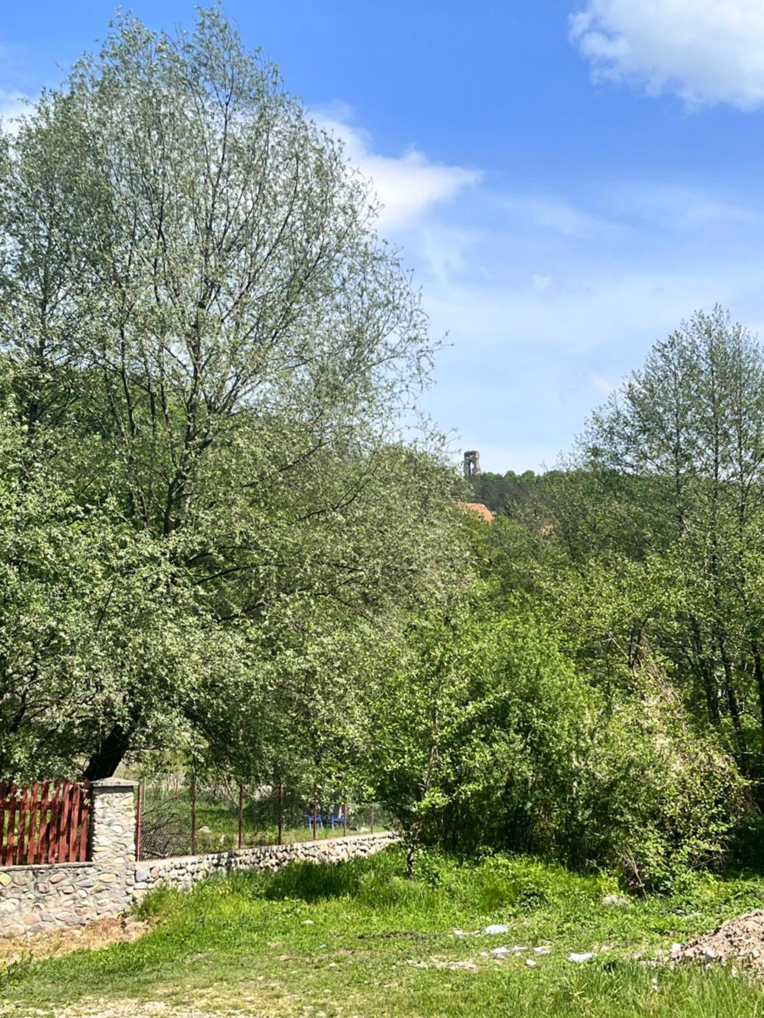 La Gradina Hotel Mehadia Bagian luar foto