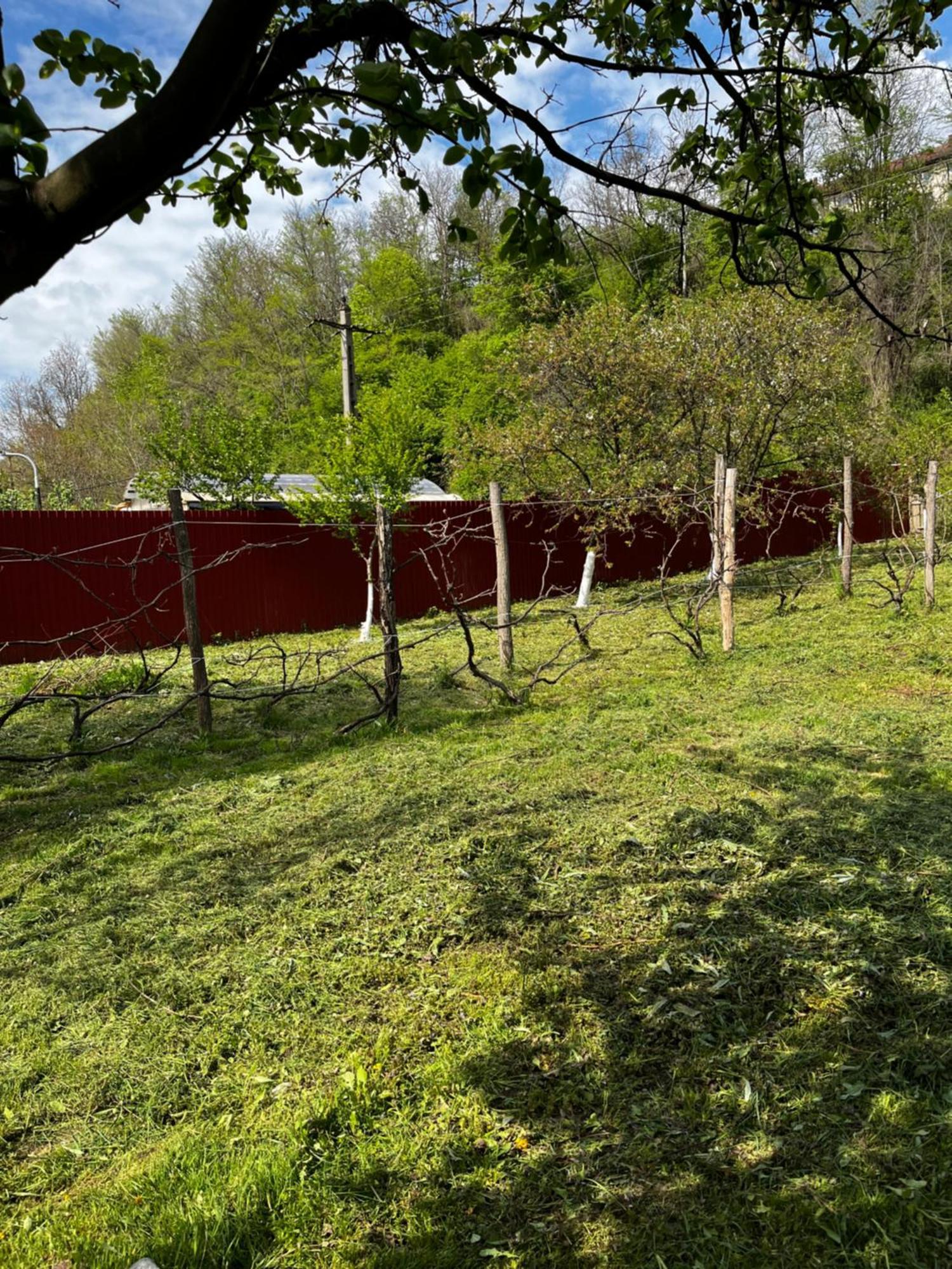 La Gradina Hotel Mehadia Bagian luar foto