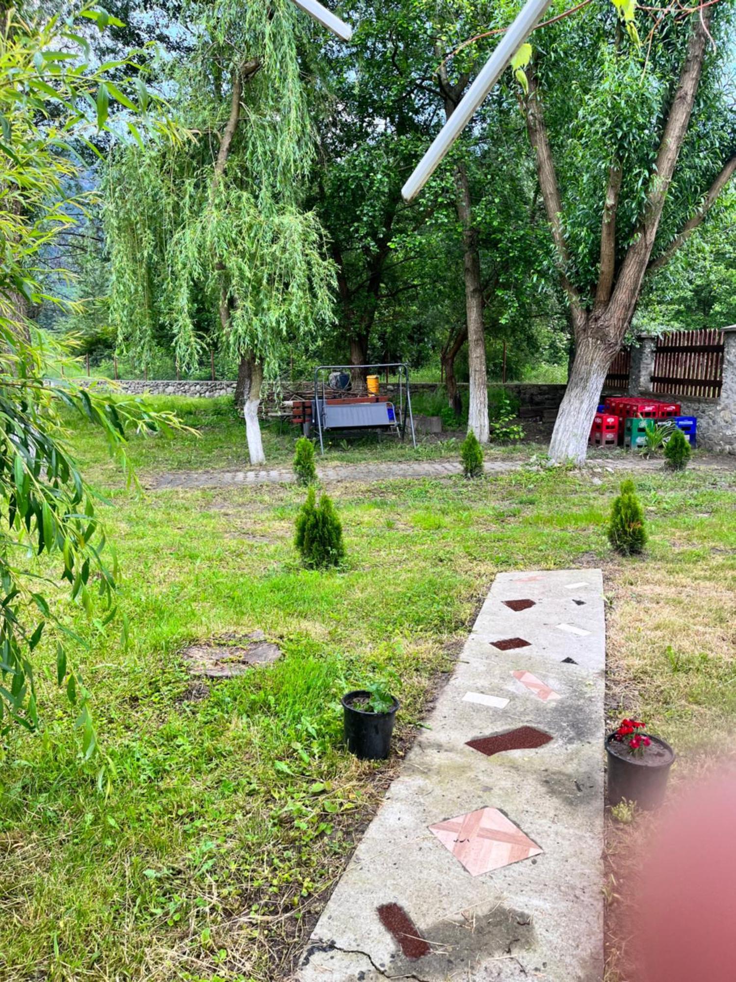 La Gradina Hotel Mehadia Bagian luar foto