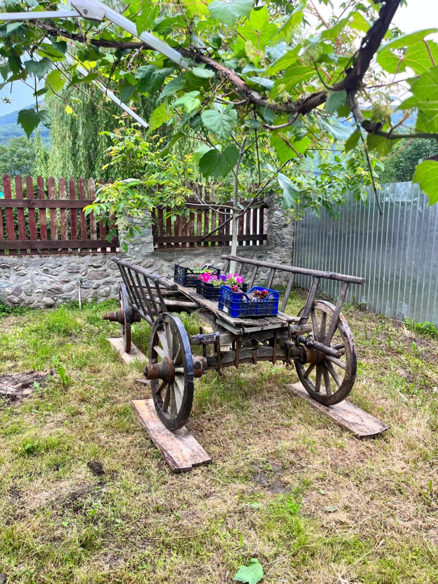 La Gradina Hotel Mehadia Bagian luar foto