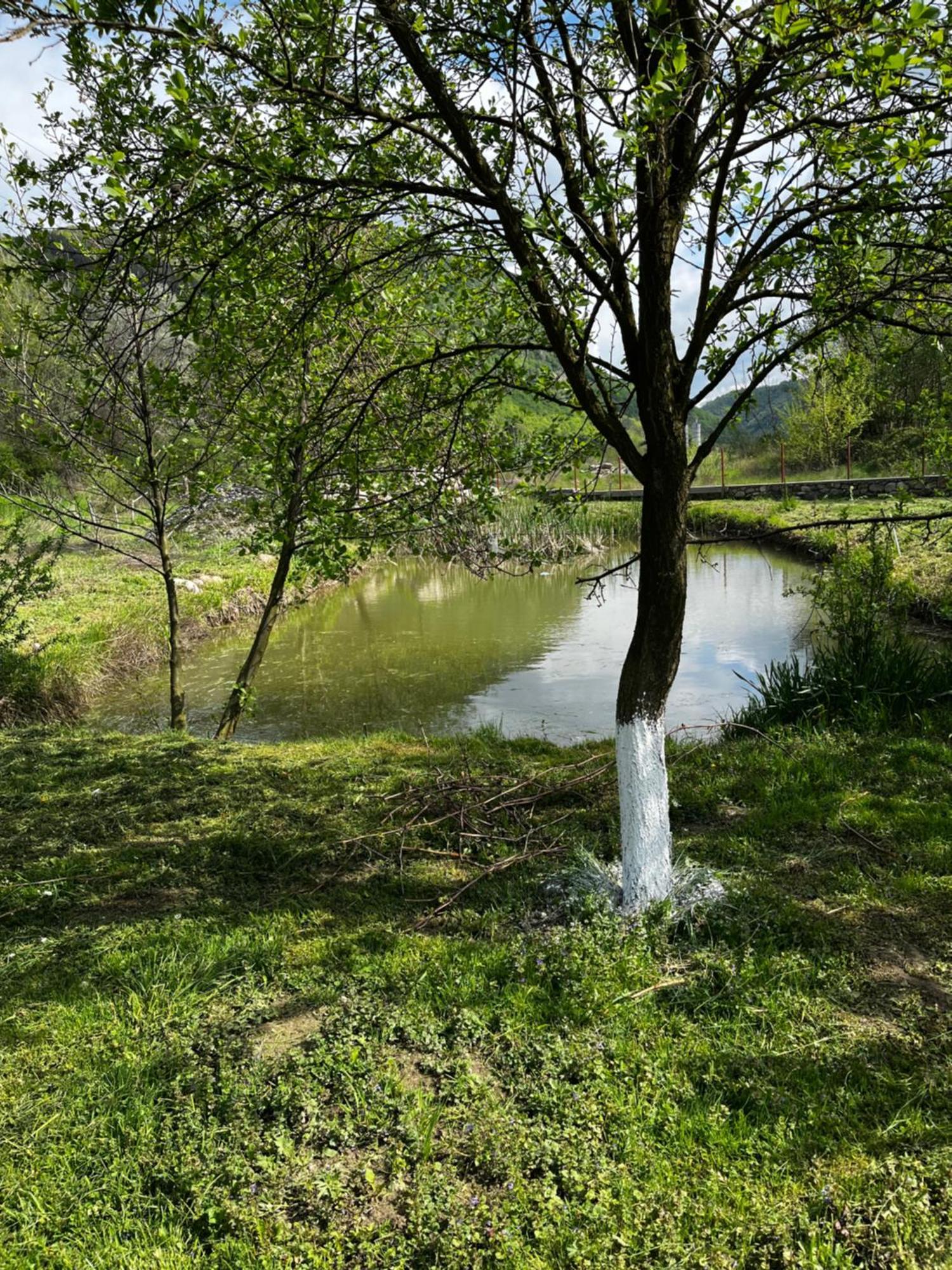 La Gradina Hotel Mehadia Bagian luar foto